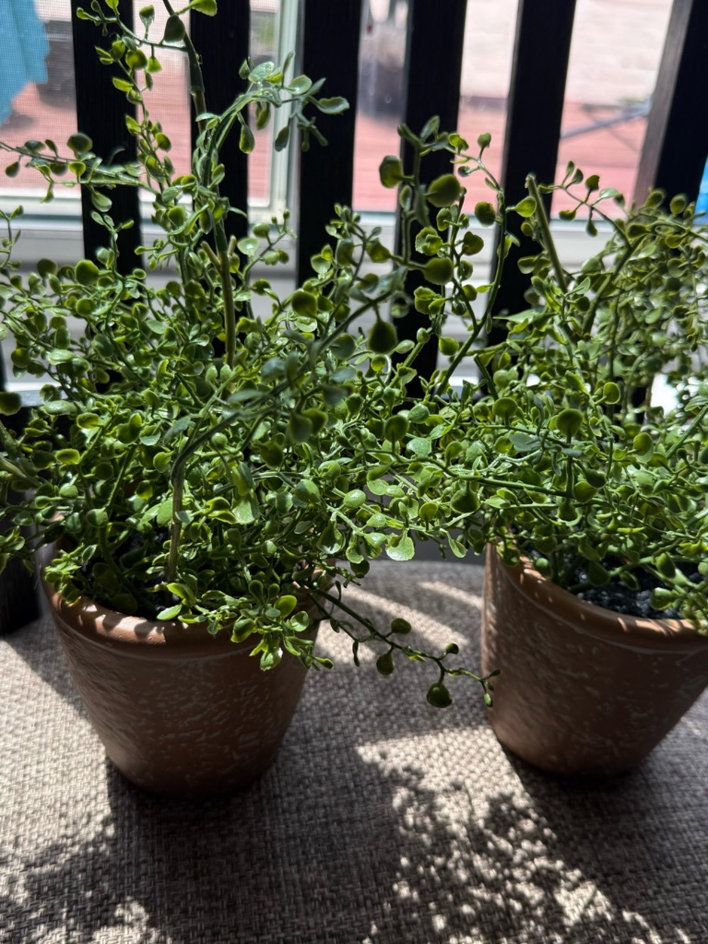 ThresholdArtificial Trailing Greenery in Terracotta  Ceramic Pot - NWO TAGS